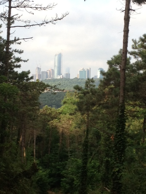 View of modern Istanbul skyline on morning run