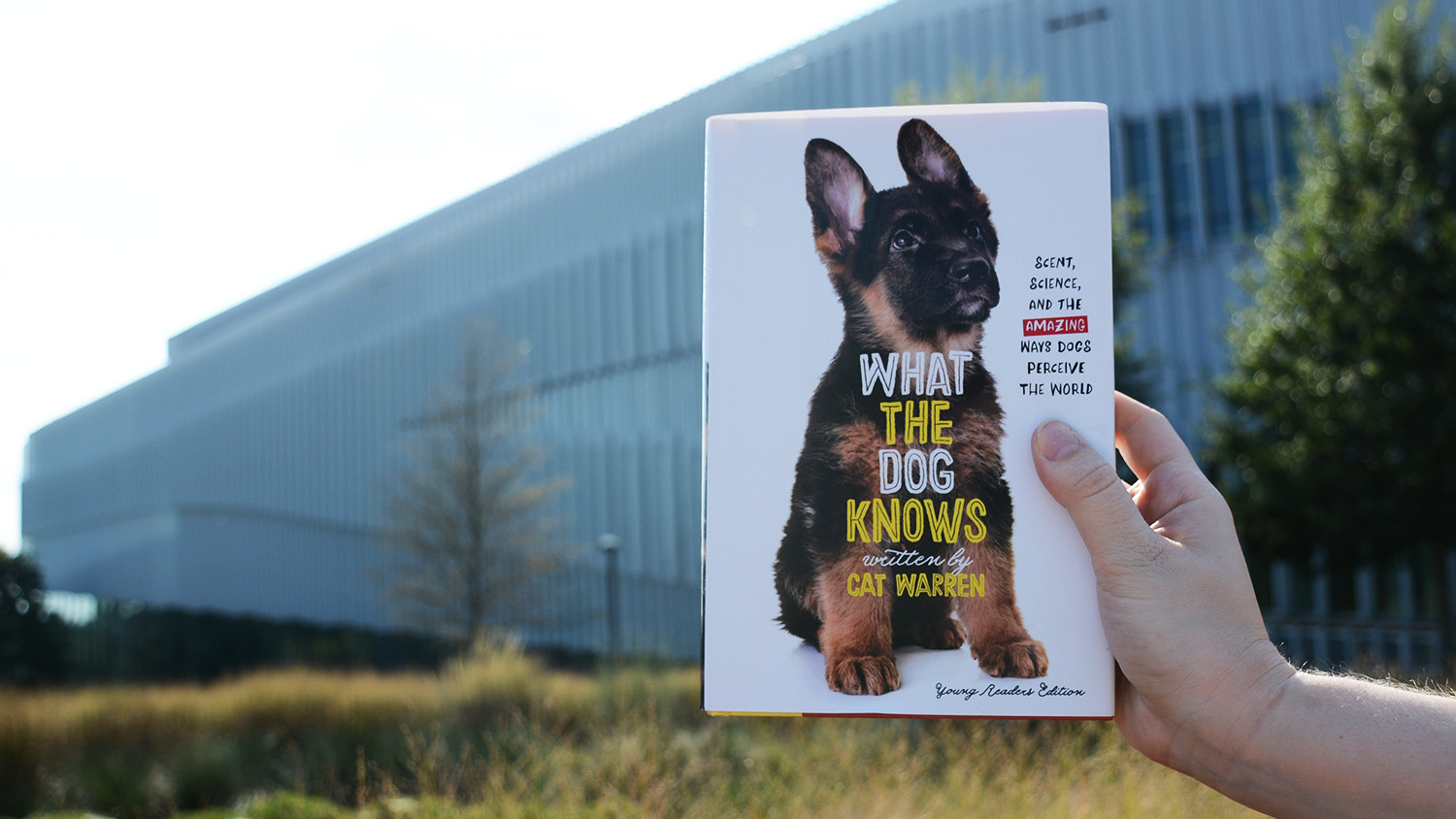 cover photo of "What the Dog Knows" young readers edition