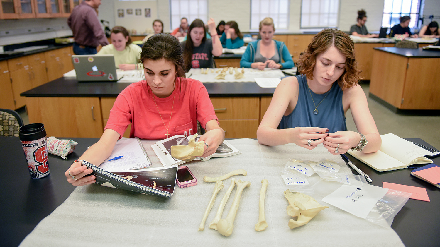 Students work on an assignment in a Paleontology class