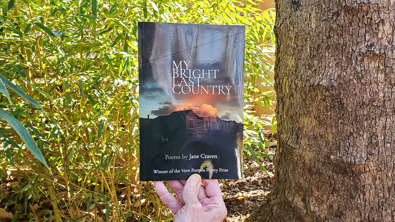 cover of "My Bright Last Country"