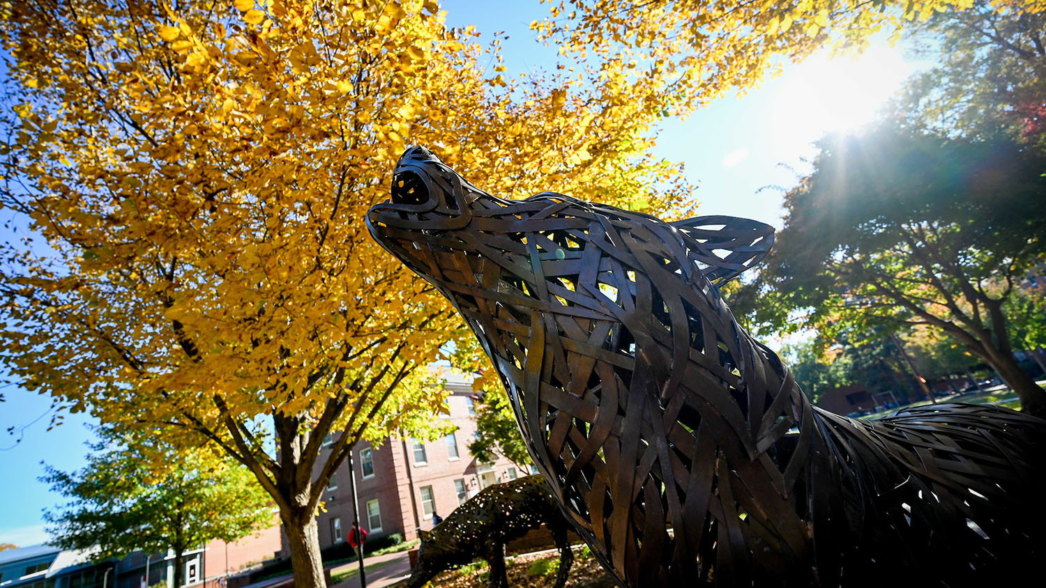 copper wolf statue in front of yellow leaves