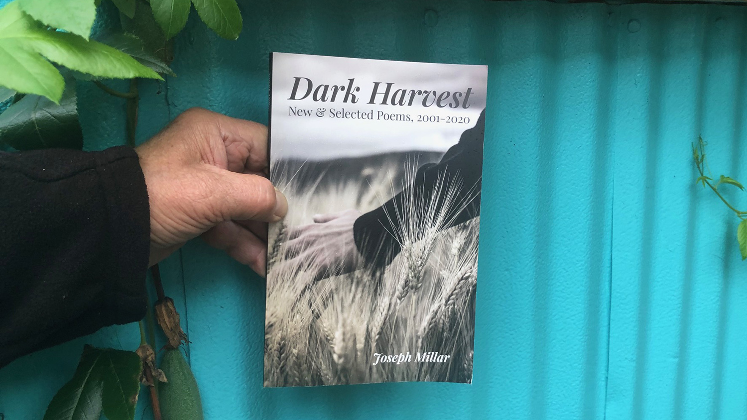 cover of "Dark Harvest"