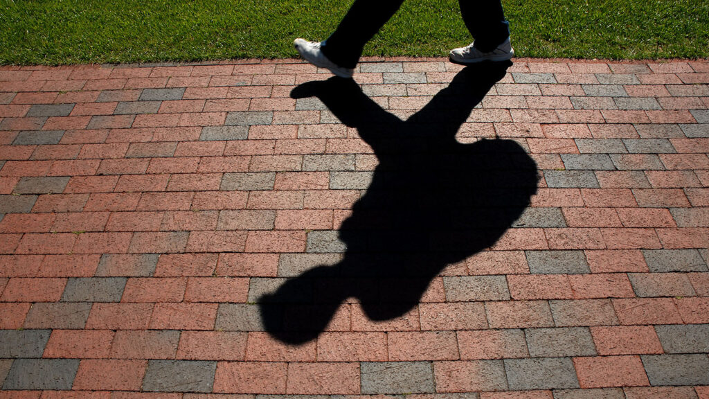 A shadow appears on a path of bricks