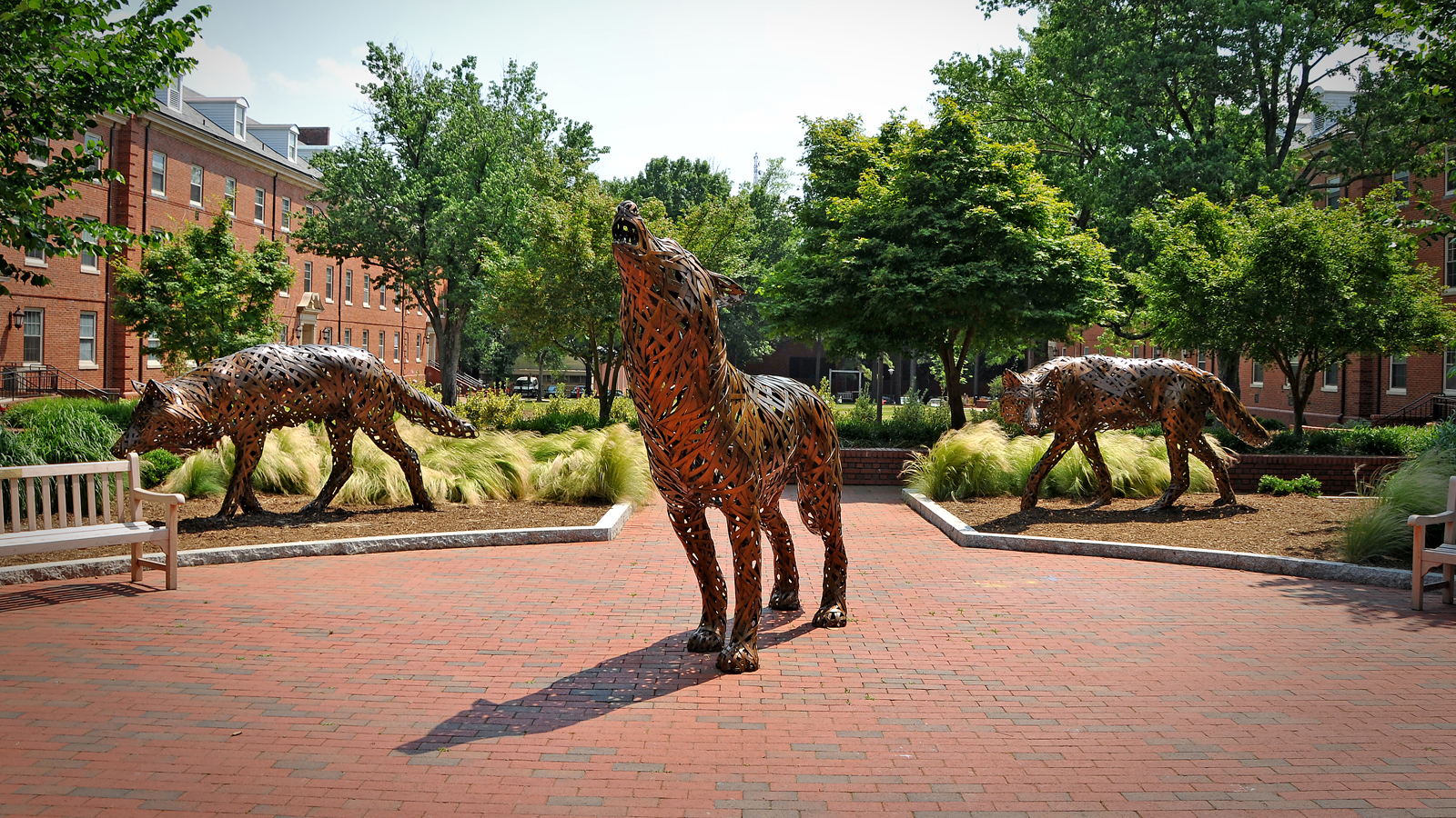 Wolf statues
